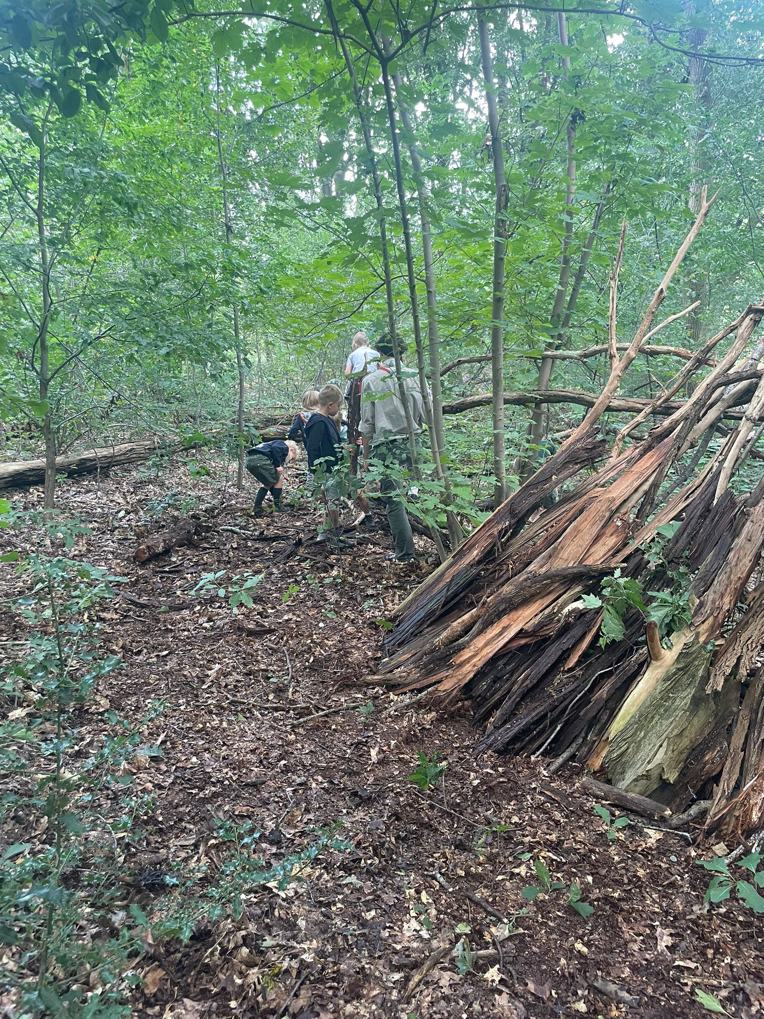 Sint-Martinus den XIIde - Opening 2024
